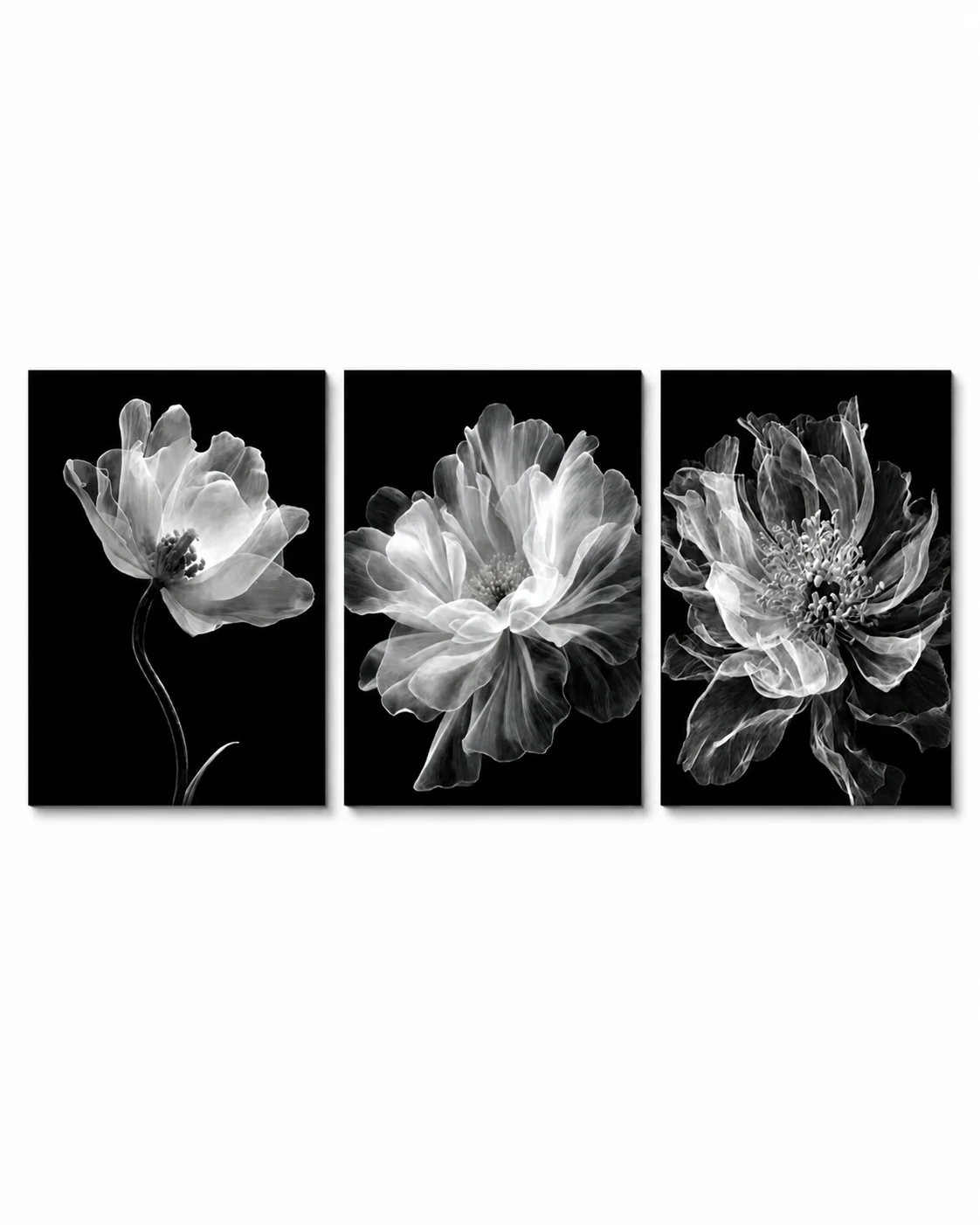 Éjféli Virágok – 3 Részes Fekete-Fehér Vászonkép
